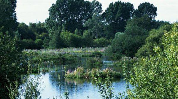 张也是李谷一的女儿吗