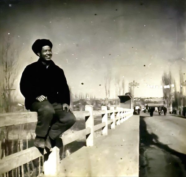 陈忠实的作品有哪些