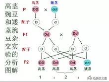 人类历史上的重大发现是什么