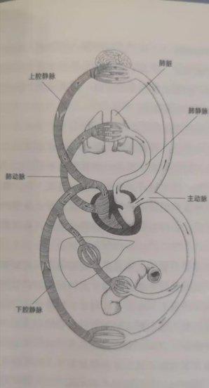 人类历史上的重大发现是什么