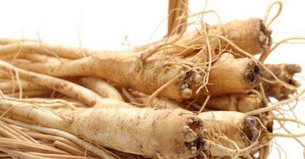 安徽太和县属于哪个市