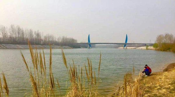 安徽太和县属于哪个市