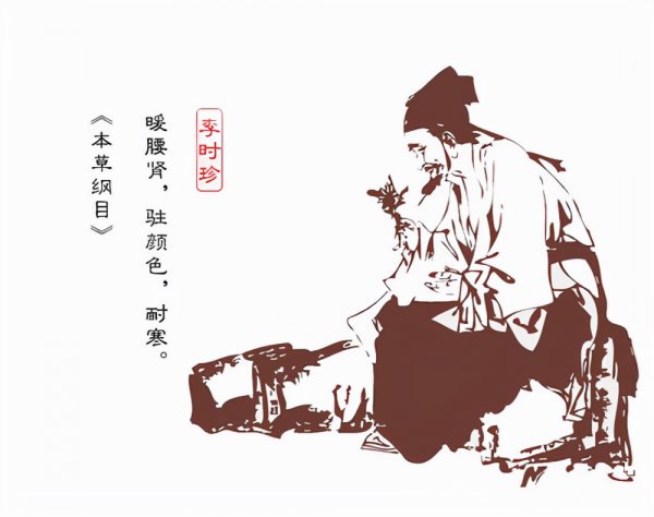 李时珍简介及主要事迹