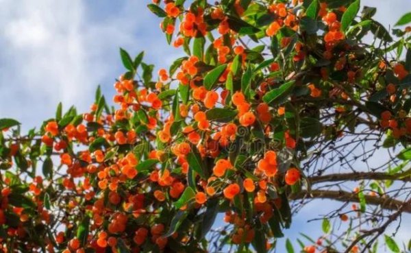 金无足赤人无完人的意思