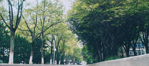 中南财大为啥叫小破财