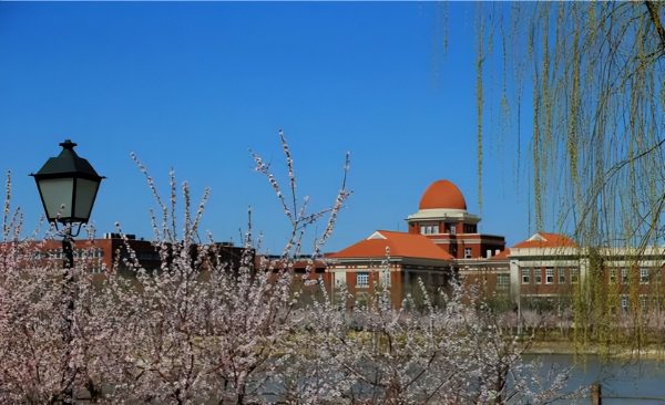 南开大学985排名第几