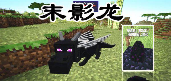 我的世界中龙蛋怎么孵化