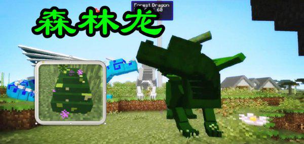 我的世界中龙蛋怎么孵化