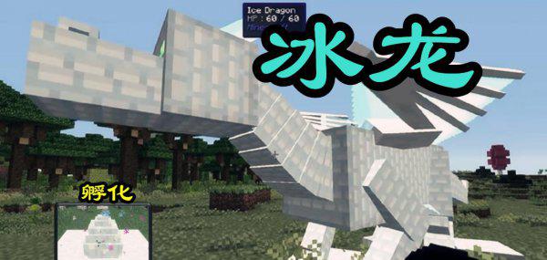 我的世界中龙蛋怎么孵化