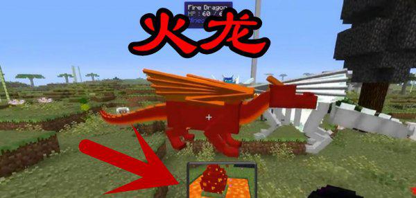 我的世界中龙蛋怎么孵化