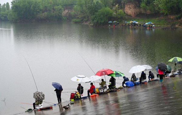 春季钓鱼选择什么位置最好