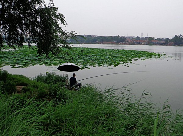 春季钓鱼选择什么位置最好