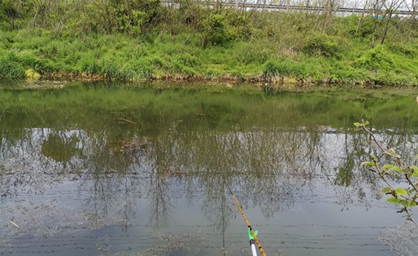 春季钓鱼选择什么位置最好