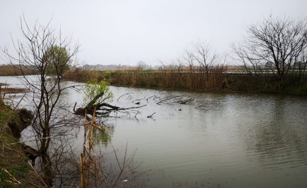 春季钓鱼选择什么位置最好