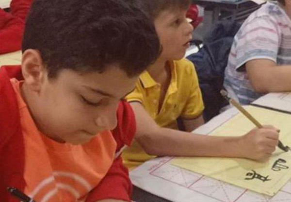 说汉语的国家有几个