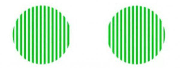 视觉暂留现象原理是什么