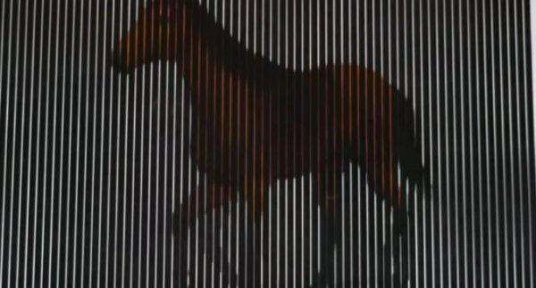 视觉暂留现象原理是什么