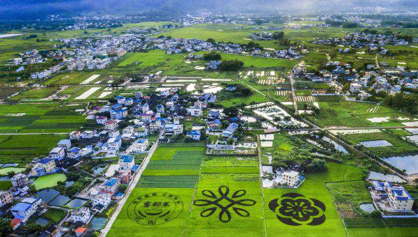 中国十大长寿之乡都是哪里