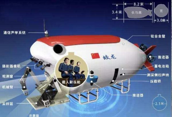 巨型鱿鱼在哪里被拍到过