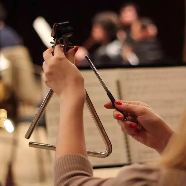 打击乐器有哪些名称及图片