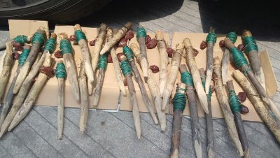 怎样钓甲鱼最有效 钓甲鱼的饵料配方与手竿垂钓技巧