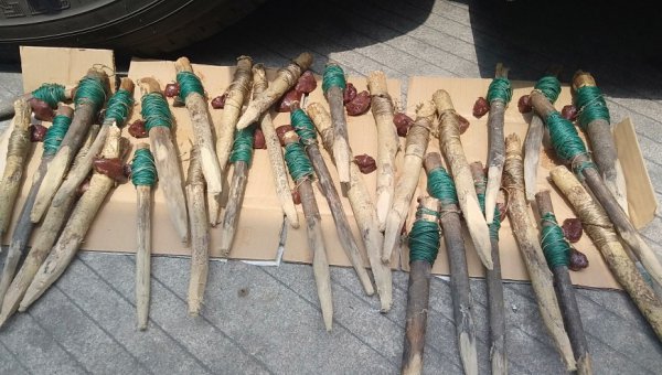 怎样钓甲鱼最有效