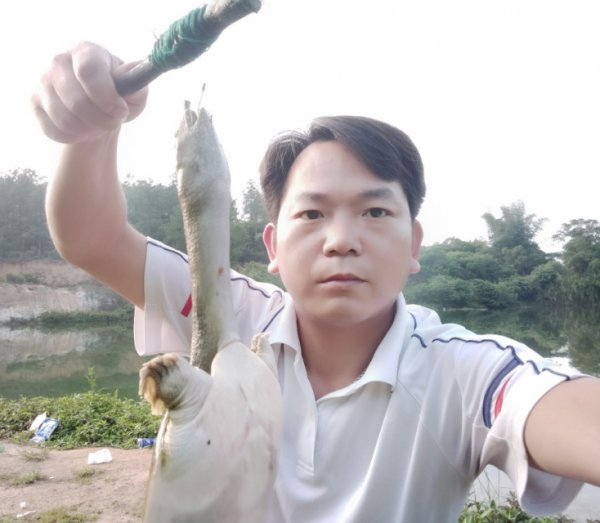 怎样钓甲鱼最有效