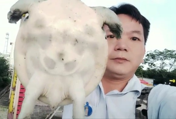 怎样钓甲鱼最有效