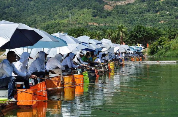 钓箱钓椅哪个实用性好些