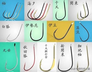 野钓用伊势尼还是伊豆 伊势尼和伊豆哪个更适合野钓