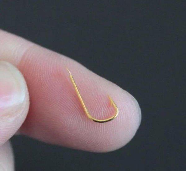 野钓用伊势尼还是伊豆