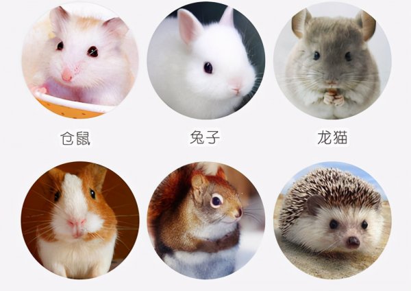 荷兰国土面积多少平方公里