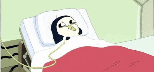 荷兰国土面积多少平方公里