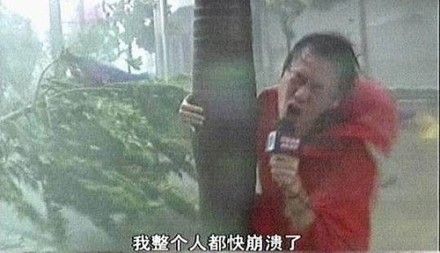 荷兰国土面积多少平方公里