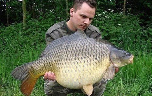 荷兰国土面积多少平方公里