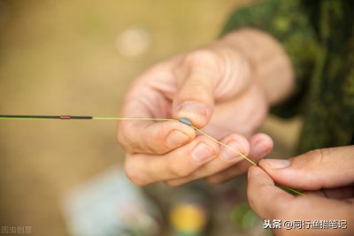 1.0主线能钓多大的鱼 1.0主线最大可钓起多重的鱼