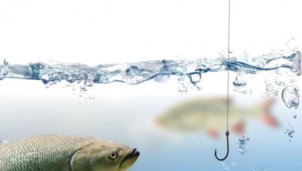 1.0主线能钓多大的鱼