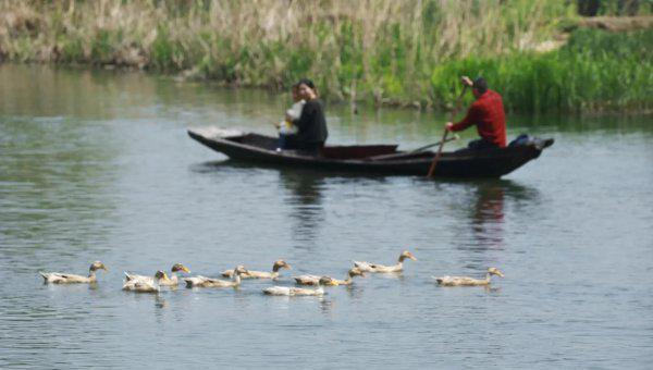 清明踏青的寓意与意思