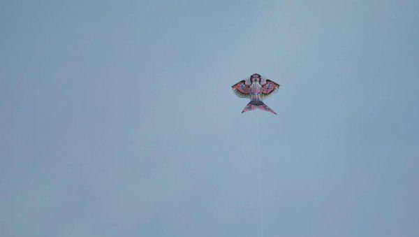 清明踏青的寓意与意思