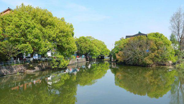 清明踏青的寓意与意思