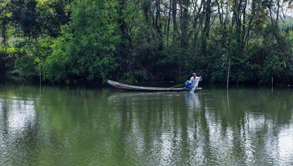 清明踏青的寓意与意思