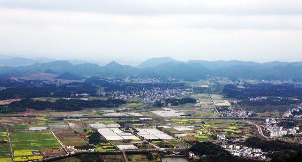 衢州市有几个区几个县几个镇