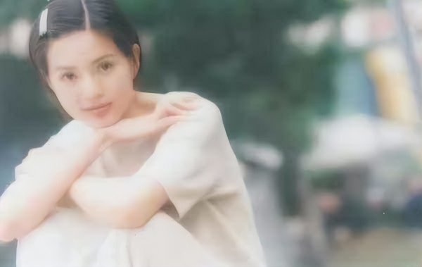 李若彤个人资料介绍