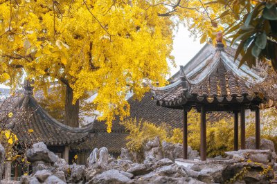 苏州古典园林的历史背景 苏州园林文化背景与价值介绍