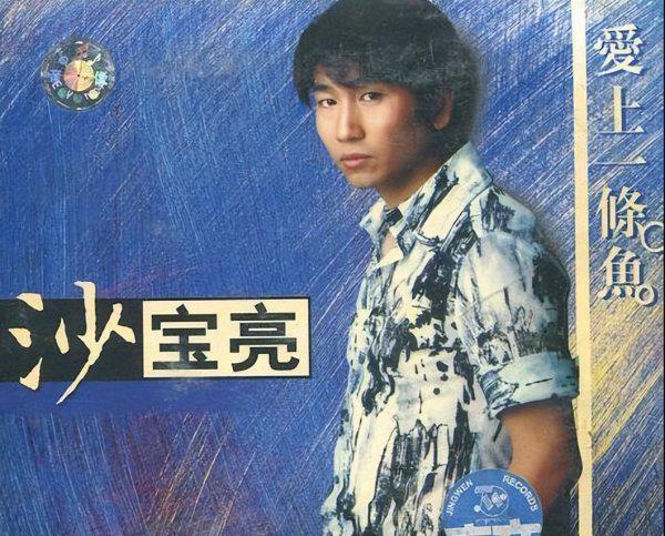 沙宝亮个人资料简介