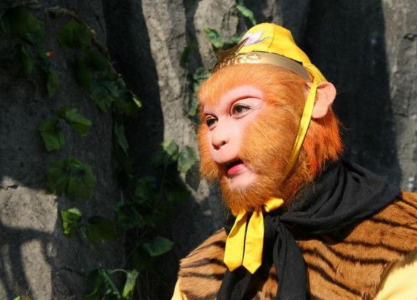 西游记师徒四人团队角色分析