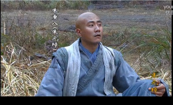 胡军演的朱元璋电视剧叫什么名