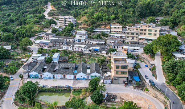 畲族主要分布在什么地方