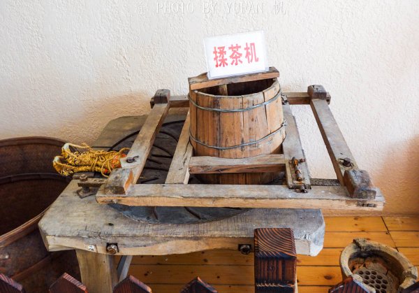 畲族主要分布在什么地方