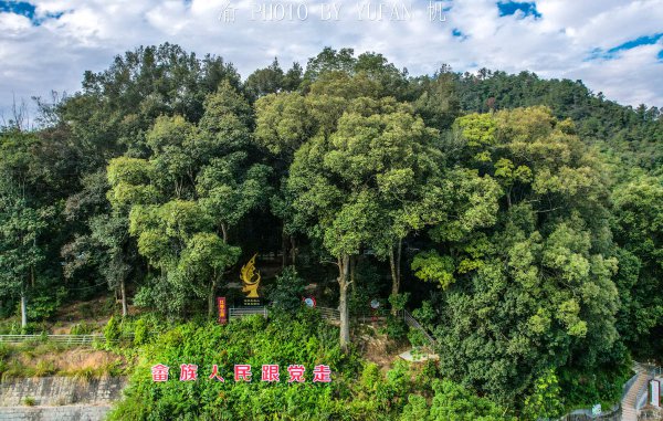 畲族主要分布在什么地方